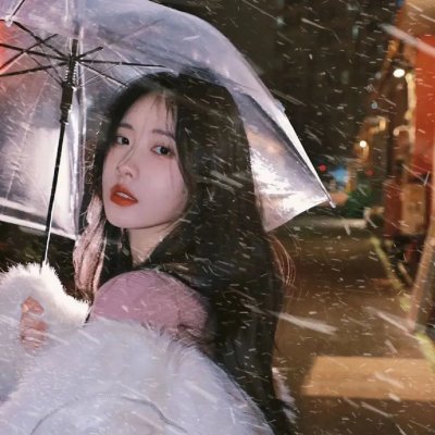 动物 (韩国电影)